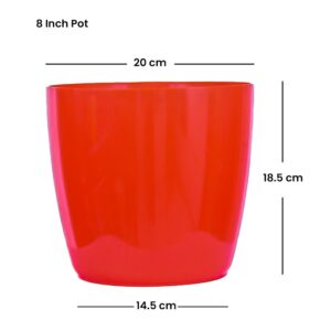 Varika (8 inch )
