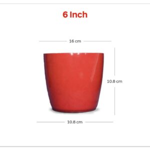 Varika (6 inch )