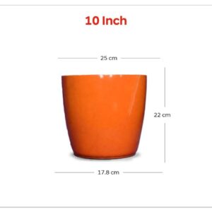 Varika (10 inch )