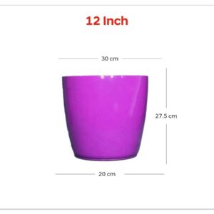 Varika (12 inch )