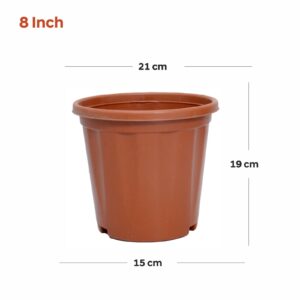Regular (8 inch)